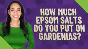 epsom salts do you put on gardenias