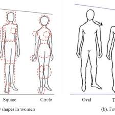 Size Chart Of An Ideal Womens Body Shape Triangle