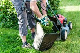 Lawn Mowing Lawn Care Services