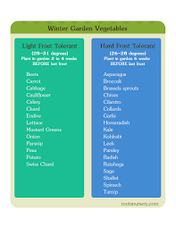 cold hardy winter vegetables