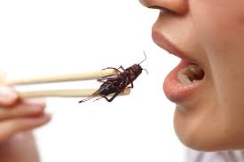 Cricket (disambiguation) — cricket is a bat and ball sport contested by two teams. What Are The Most Important Pros And Cons Of Eating Insects