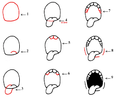 cartoon mouth step by step 3