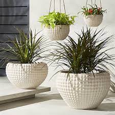 Statement Making Large Outdoor Planters