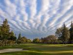 Del Rio Country Club | Modesto CA