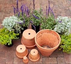 How To Prepare Flower Pots Containers