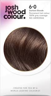 Permanent Colour 6 0 Palest Brown Perfect Hair Color At