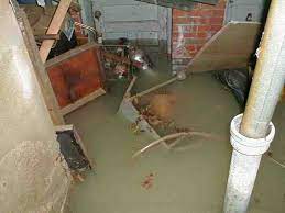 Signs Of Water Damage In Your Basement