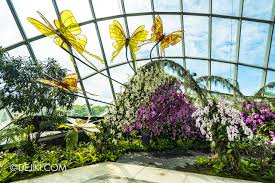 orchid haven at cloud forest and