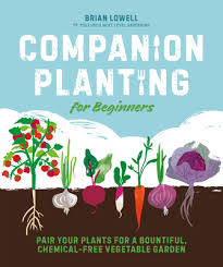 Companion Planting For Beginners Pair