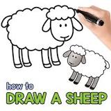 how-do-you-draw-a-sheep-step-by-step