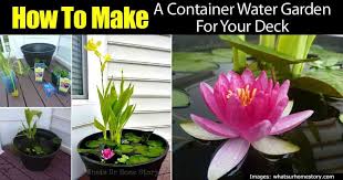 Container Water Garden For Your Deck