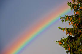 Translation of regenbogenfarben from german into russian performed by yandex.translate, a service providing automatic translations of words, phrases, whole texts and websites. Regenbogenfarben Foto Bild Opt Phanomene Der Atmosphare Himmel Universum Regenbogen Bilder Auf Fotocommunity