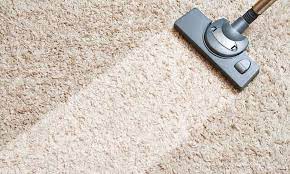 how to disinfect carpet floors 6 steps