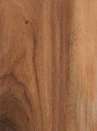 rhodesian teak the wood database