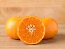 can-you-grow-an-orange-tree-from-a-grocery-store-orange