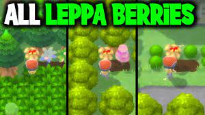 ALL LEPPA BERRY LOCATIONS ON POKEMON BRILLIANT DIAMOND AND SHINING PEARL -  YouTube