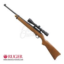 ruger 10 22 carbine combo with