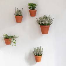 How To Hang Plants On Your Walls 5