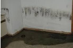 seal the gap between basement wall