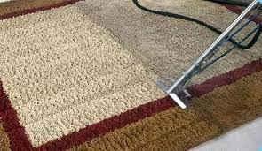 professional area rug steam cleaning in