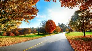 beautiful autumn road scenery