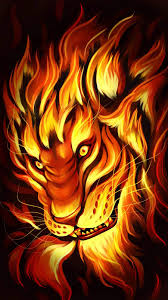 100 fire lion wallpapers wallpapers com