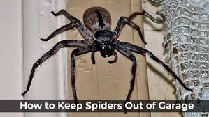 how to keep spiders out of garage