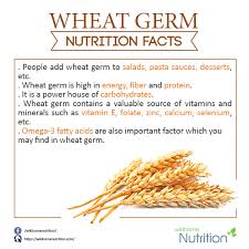 Wheat Germ Nutrition Facts In 2019 Wheat Germ Benefits