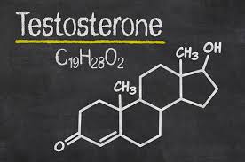 Image result for picture of testosterone molecule