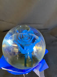 Royal Blue Rose In Forney Tx Kim S