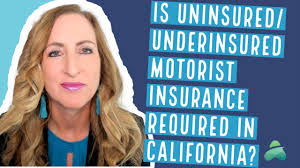 do i need uninsured underinsured