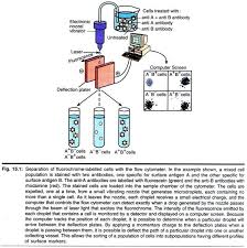 Principles Of Flowcytometry With Diagram