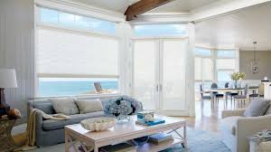discover the best window treatment