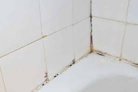 how to clean shower doors with vinegar