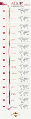 Red Wine Types And More The Basics Of Red Wines
