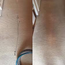 1 carpet cleaning fort myers fl with