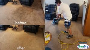 carpet cleaning sonoma ca walsh s
