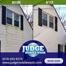 how to clean mold from siding judge