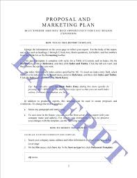 Marketing Strategy Templates Sample Example Format With Regard To