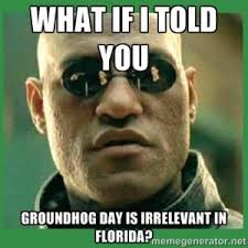 Image result for groundhogs day meme
