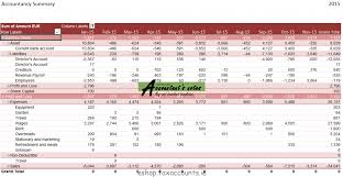 Double Entry Bookkeeping Excel Template Kanaineco Info