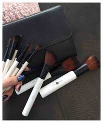 10 piece luxury makeup brush set