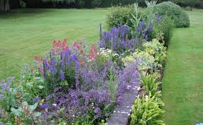 Top 10 Plants For Cottage Style Borders