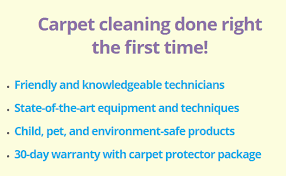 carpet cleaning services schaumburg il