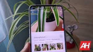 The apps are self contained and do not use the internet. Top 9 Best Plant Flower Identification Android Apps 2021