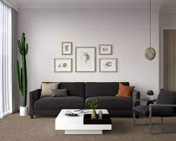 couch colors for brown carpet floors