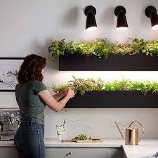 56 Indoor Garden In Kitchen Ideas