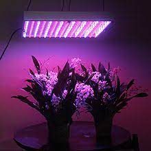 Buy a bulb with a cool or blue there are more than four different types of light bulbs available for growing plants indoors, but i'm focusing on the most common and affordable ones. Grow Light Wikipedia