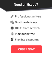 Example about Professional quality custom essays delivered 