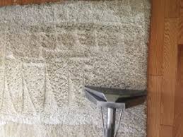 best carpet cleaning company